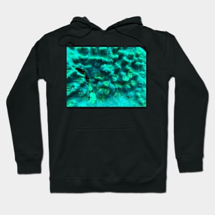 soft coral Hoodie